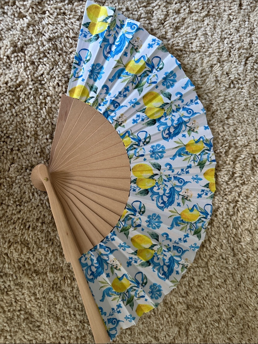 Hand Fan: Lemon Theme Party Amalfi Coast theme